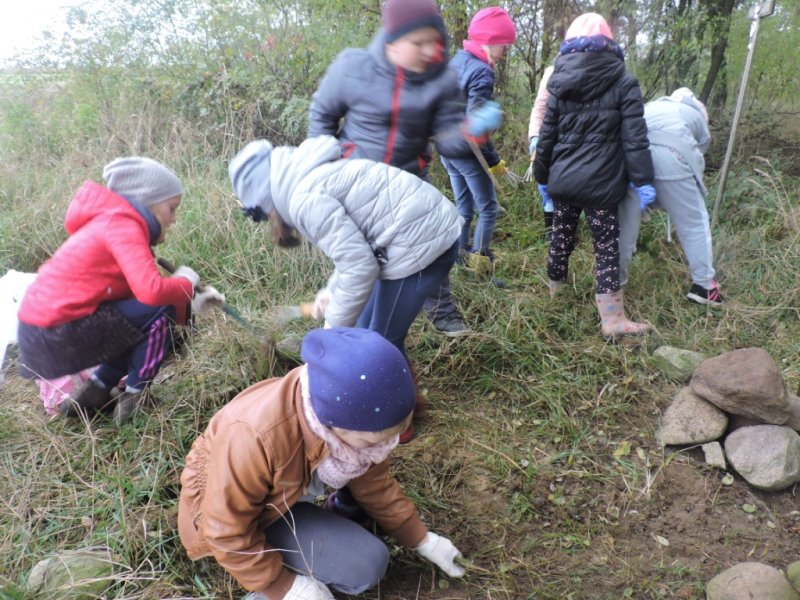 Zuchy sprzątanie grobów